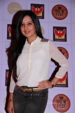 Amy Billimoria at the Brew Fest in Mumbai on 23rd Jan 2015